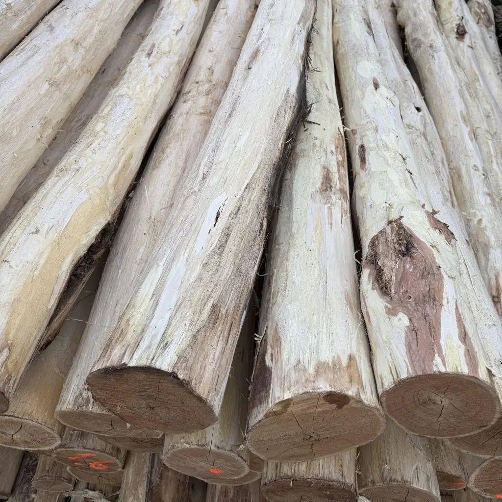 3m-es | háncsolt, vastag | akác oszlop