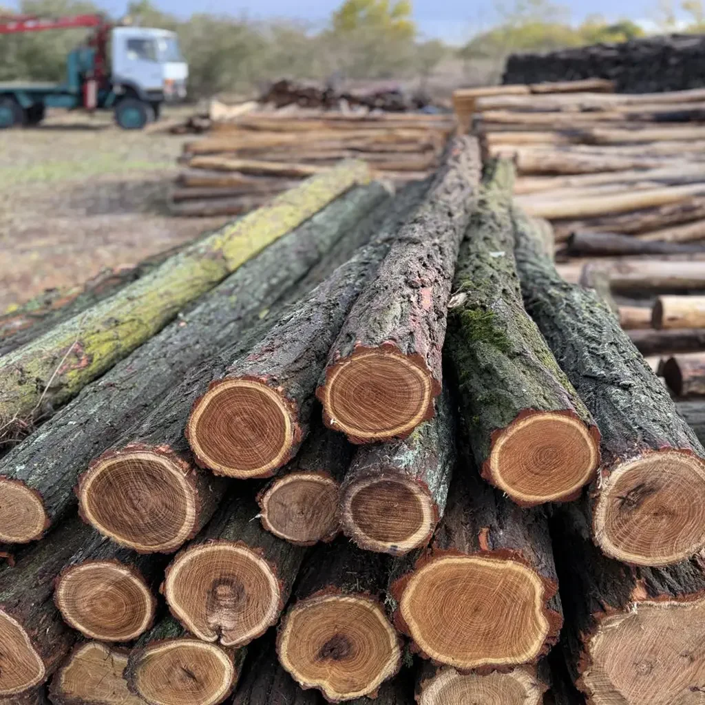 3m-es | vastag | akác oszlop